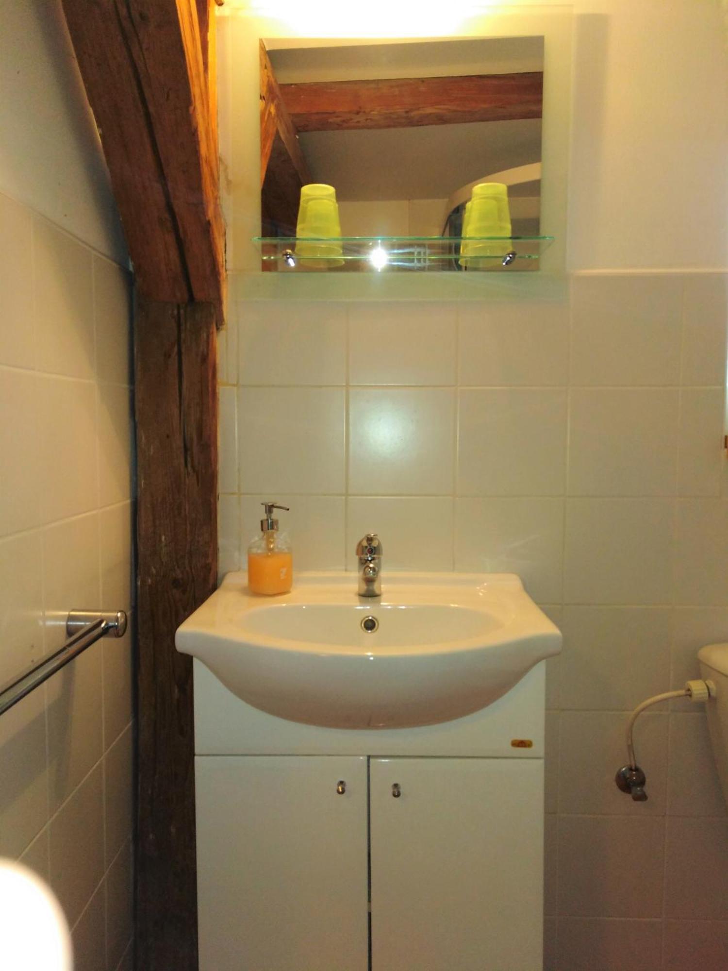 Penzion U Dvojice ノヴェー・ムニェスト・ナ・モラヴィエ 部屋 写真